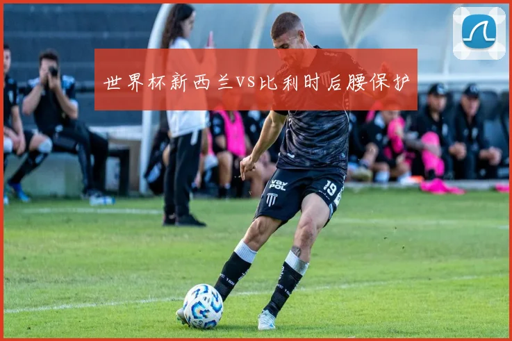 世界杯新西兰vs比利时后腰保护