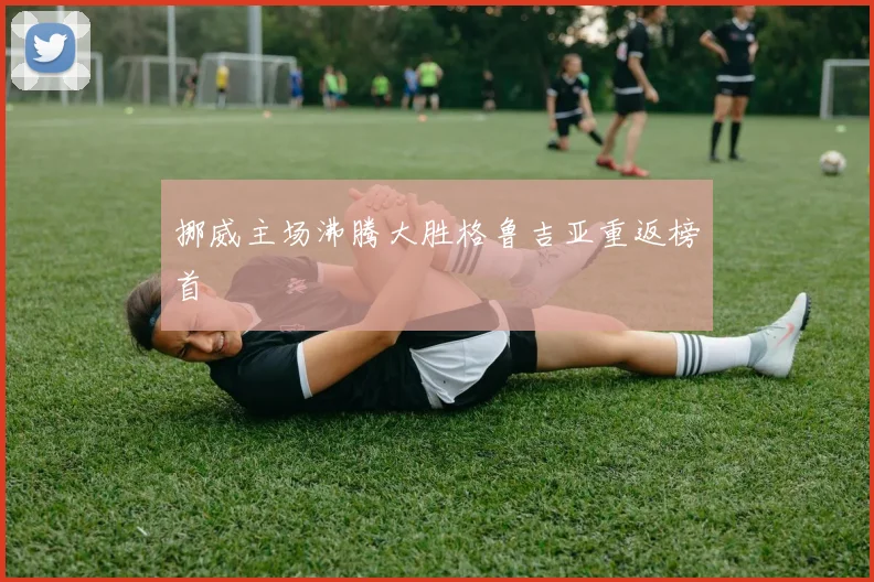 挪威主场沸腾大胜格鲁吉亚重返榜首