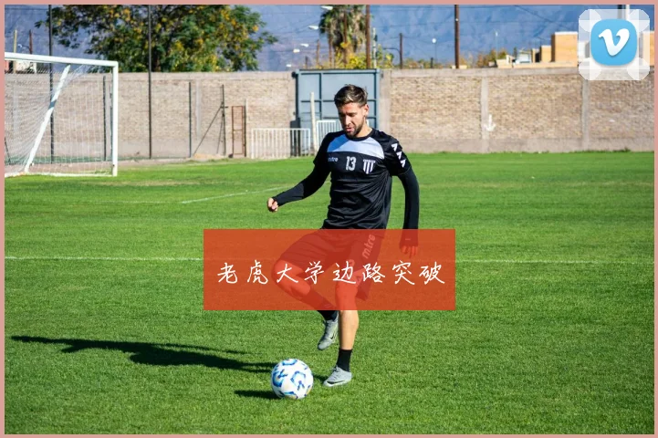老虎大学边路突破
