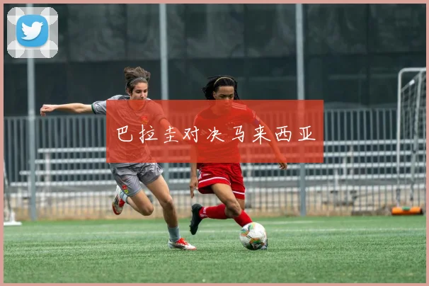 巴拉圭对决马来西亚