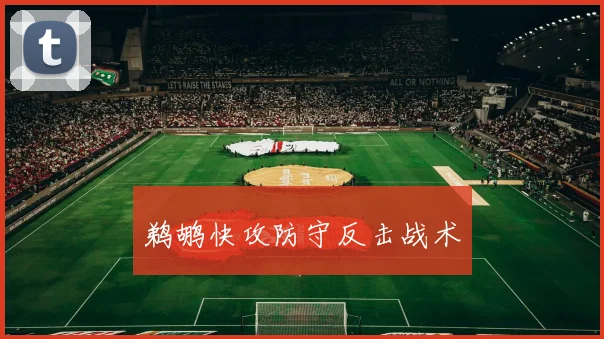 鹈鹕快攻防守反击战术
