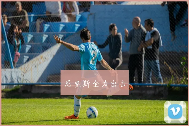 尼克斯全力出击