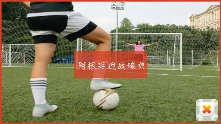 阿根廷迎战瑞典