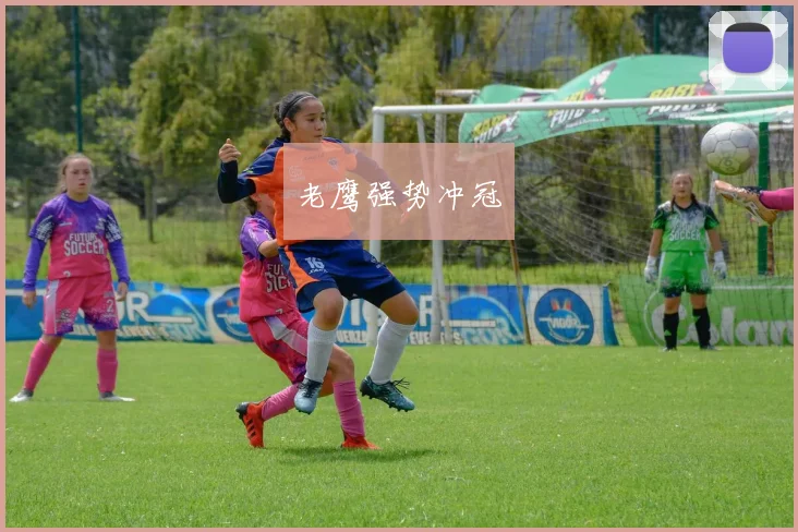 老鹰强势冲冠