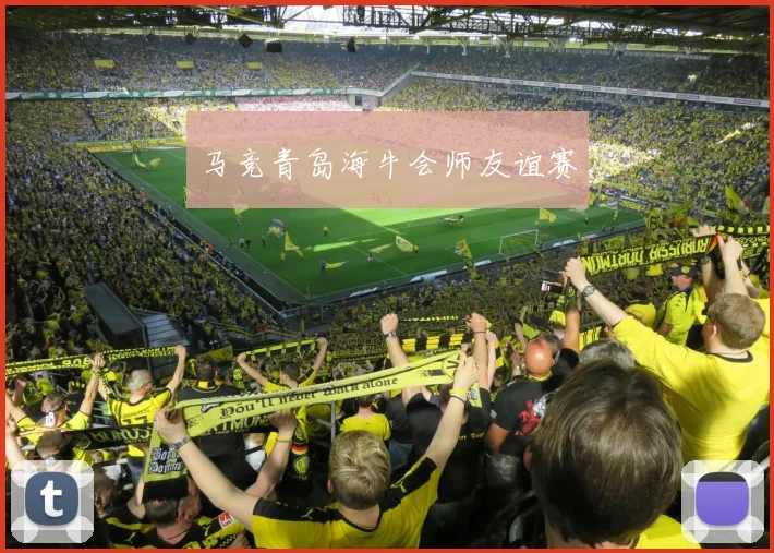 马竞青岛海牛会师友谊赛