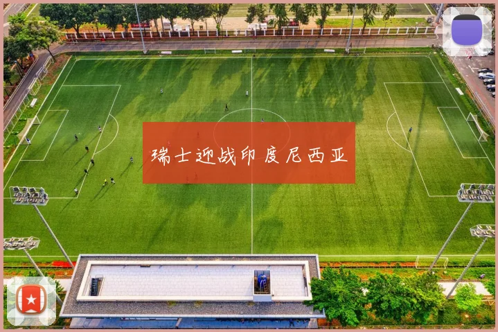 瑞士迎战印度尼西亚