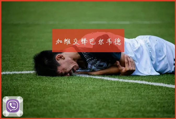 加维交锋巴尔韦德