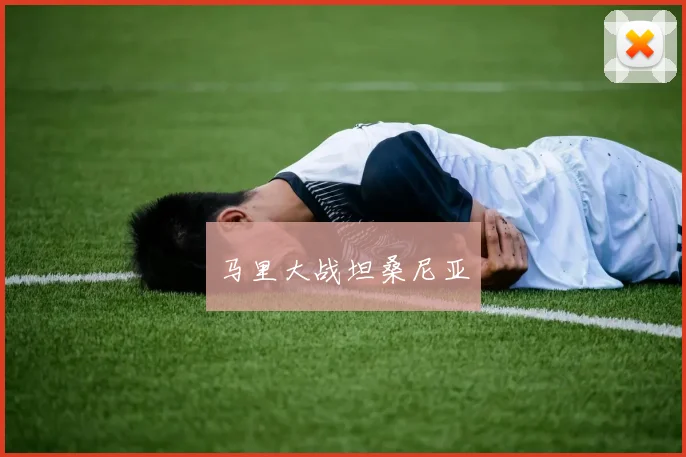 马里大战坦桑尼亚
