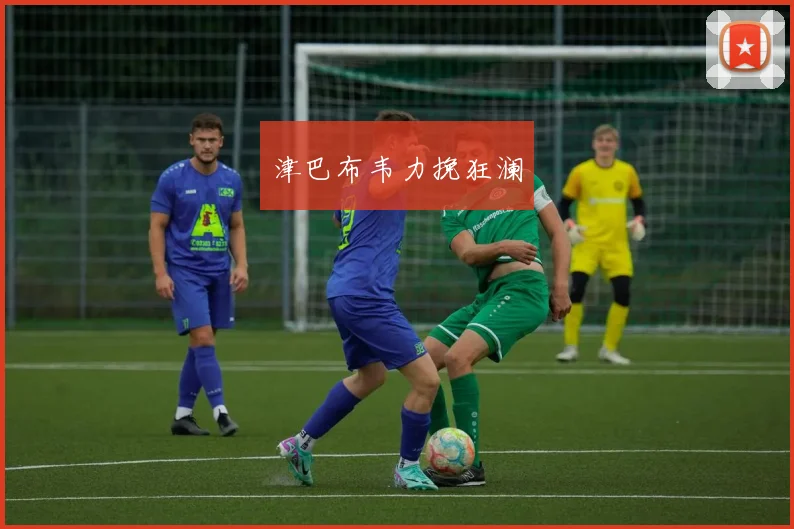 津巴布韦力挽狂澜