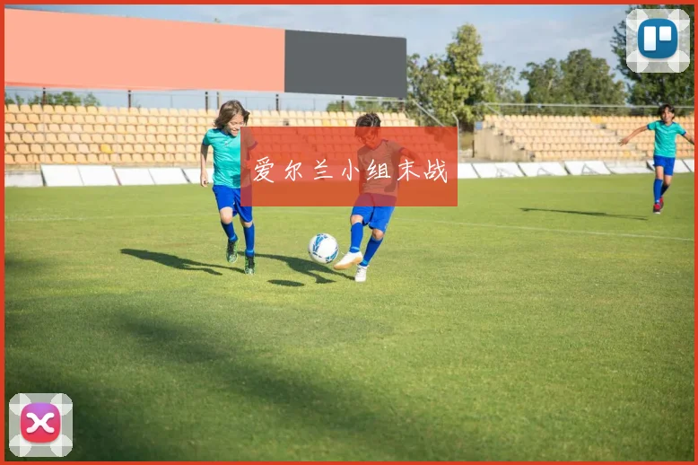爱尔兰小组末战