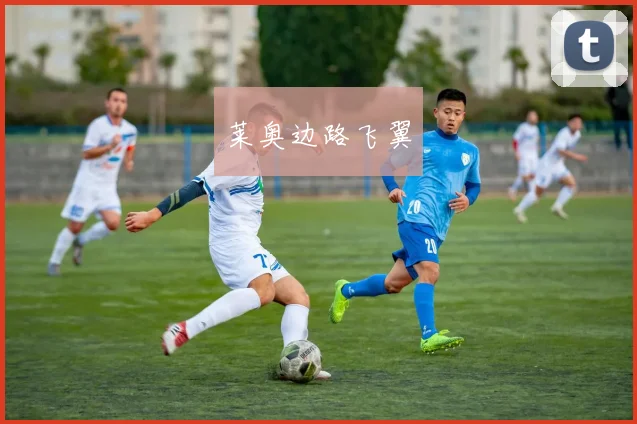 莱奥边路飞翼