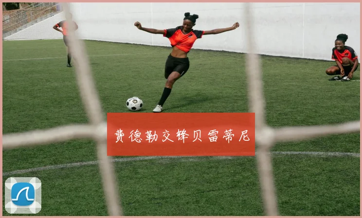 费德勒交锋贝雷蒂尼