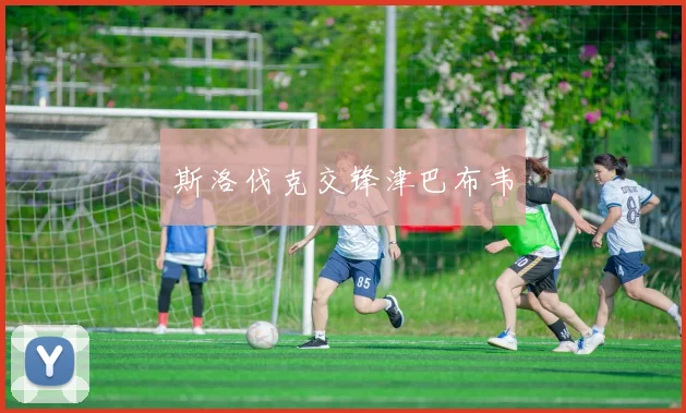 斯洛伐克交锋津巴布韦