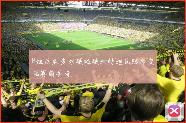 E组厄瓜多尔硬碰硬科特迪瓦赔率变化赛前参考