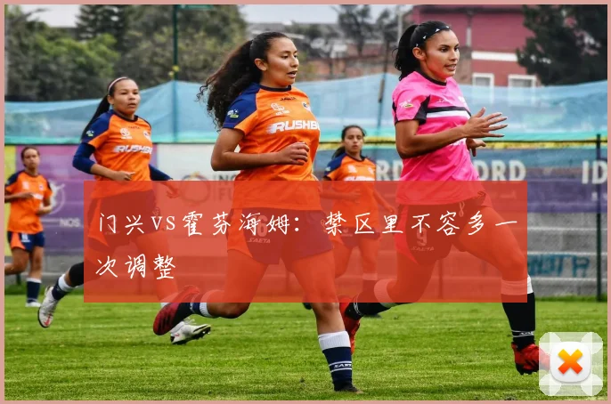 门兴vs霍芬海姆:禁区里不容多一次调整