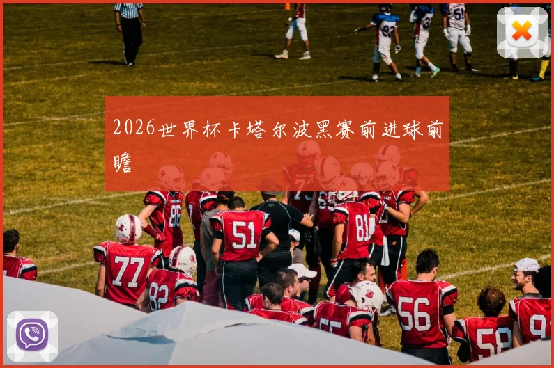 2026世界杯卡塔尔波黑赛前进球前瞻