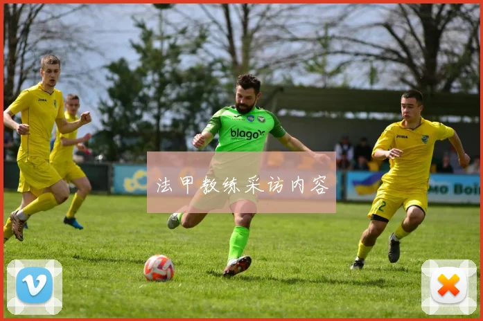 法甲教练采访内容