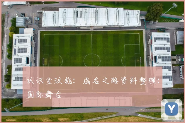 认识金玟哉：成名之路资料整理：国际舞台