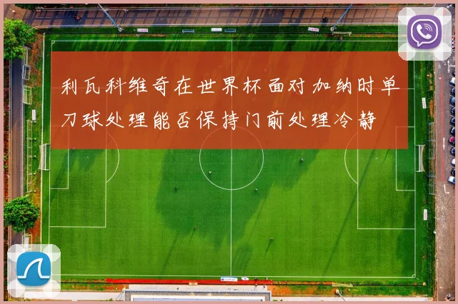 利瓦科维奇在世界杯面对加纳时单刀球处理能否保持门前处理冷静